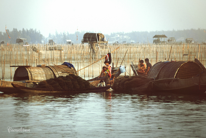 Giống nhiều làng chài khác, ngoài là phương tiện đánh bắt, những chiếc thuyền còn là nơi cư ngụ của nhiều hộ gia đình. Cuộc sống của họ gắn chặt với những con thuyền, quanh năm lênh đênh trên mặt nước.